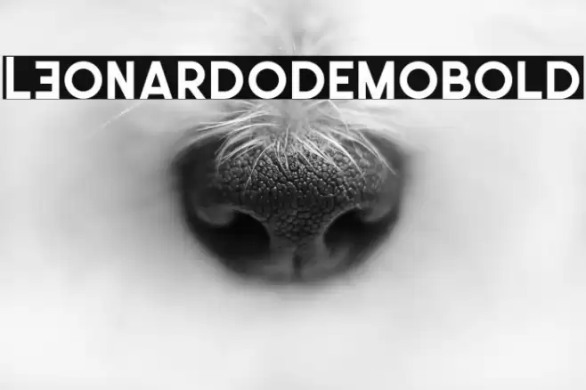 LEonardoDemoBold Font examples