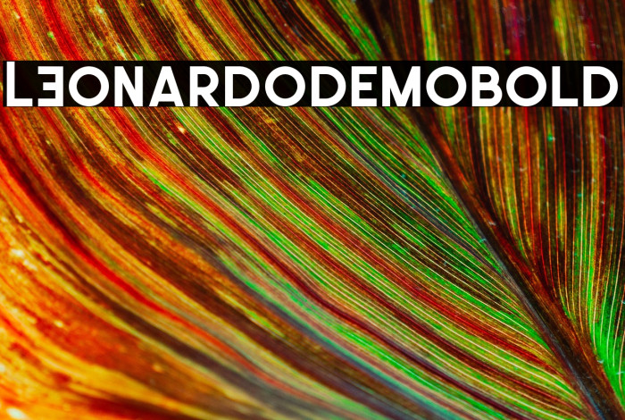 LEonardoDemoBold Example 2