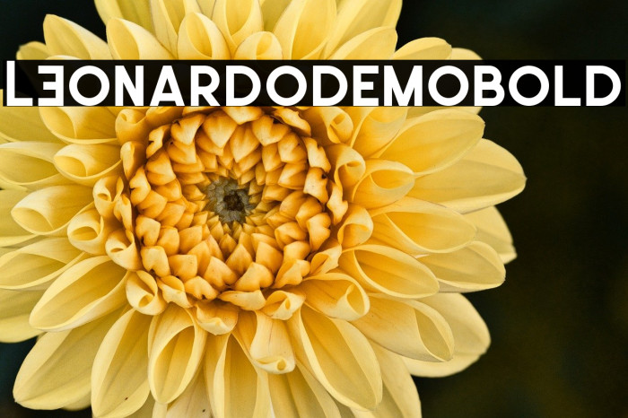 LEonardoDemoBold Example 3