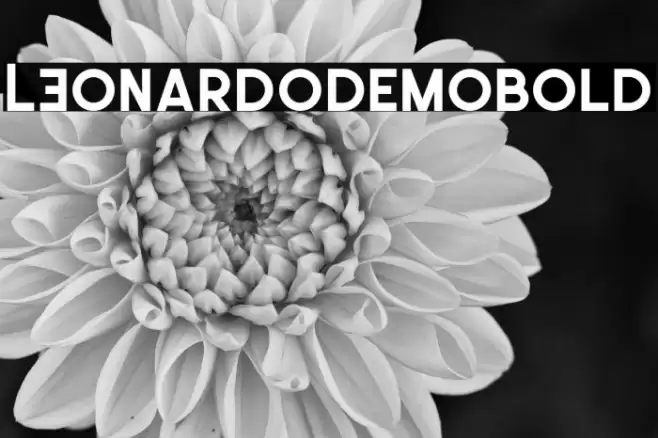 LEonardoDemoBold Font examples