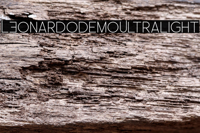 LEonardoDemoUltralight Example 1