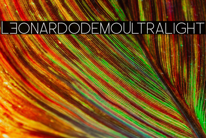 LEonardoDemoUltralight Example 3