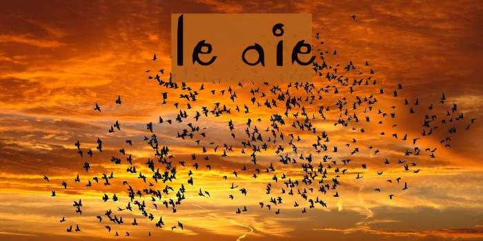 Le Antoine Font examples