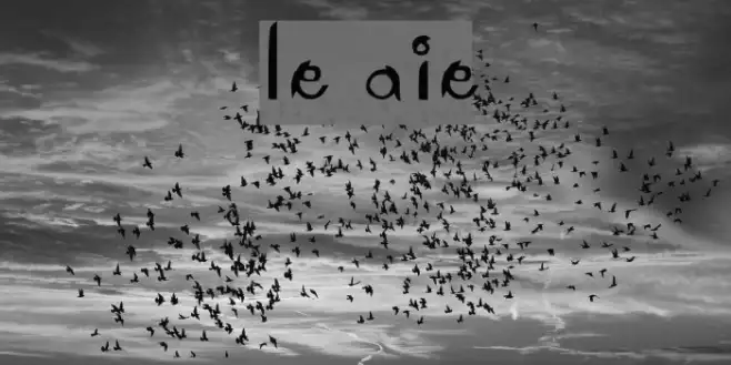 Le Antoine Example 2