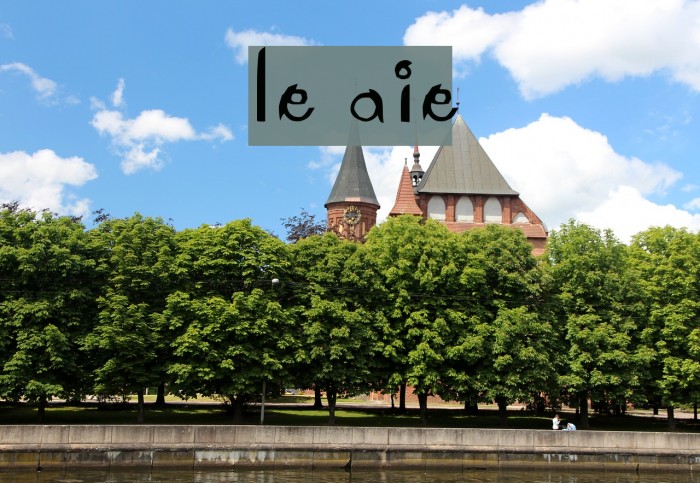 Le Antoine Font examples