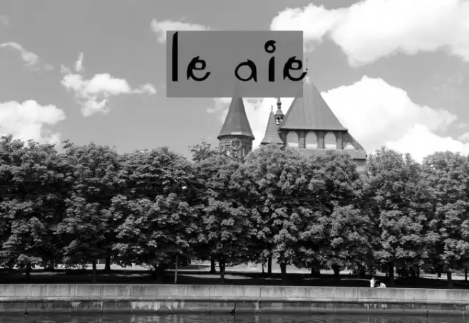 Le Antoine Example 3