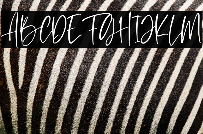 Le Barche Personal Use Example 3