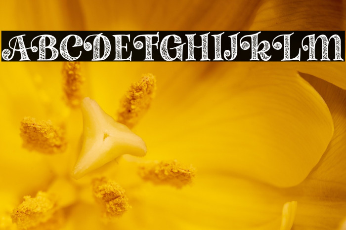 Le Cercle des Artisans Caratteri examples