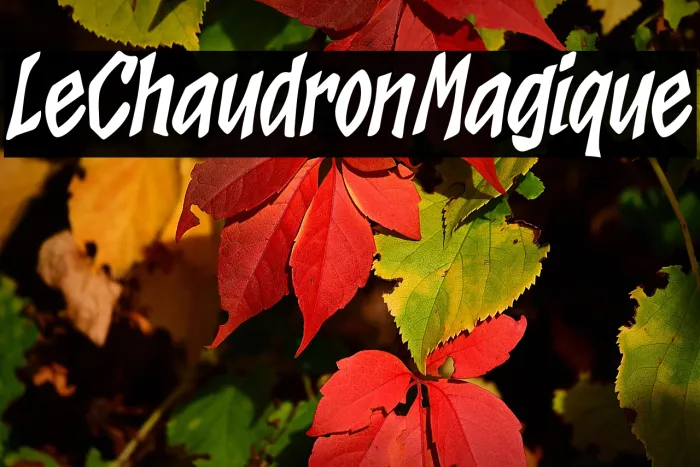 Le Chaudron Magique Example 2