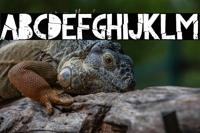 Le Club Parisien Example 3