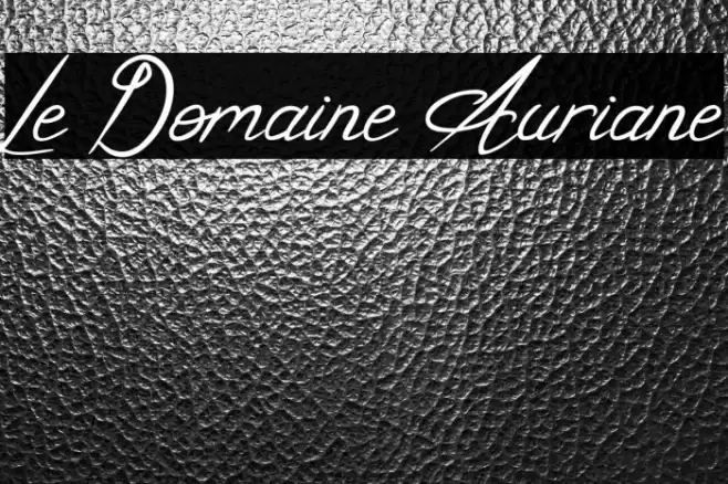 Le Domaine Auriane Font examples