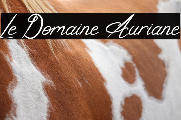 Le Domaine Auriane Example 2