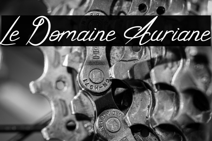 Le Domaine Auriane Example 3