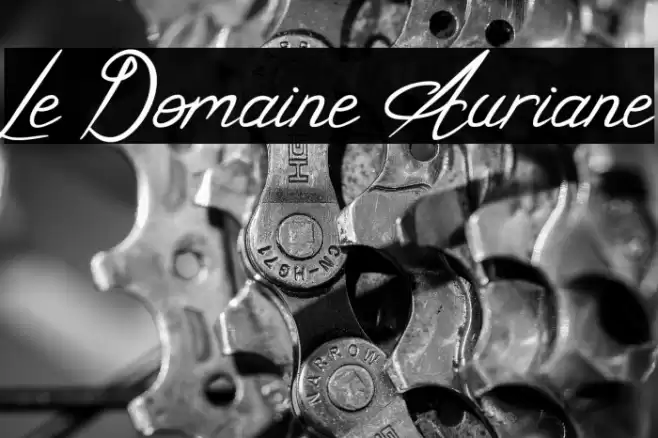 Le Domaine Auriane Font examples
