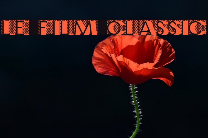 Le Film Classic Font examples