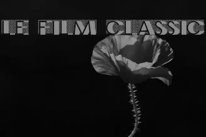 Le Film Classic Example 1