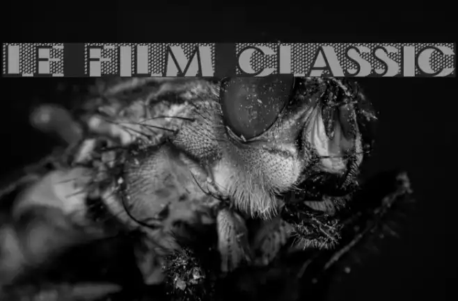 Le Film Classic Example 2