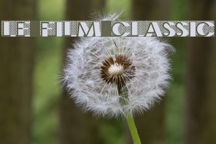 Le Film Classic Font examples