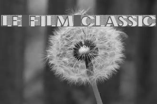 Le Film Classic Example 3
