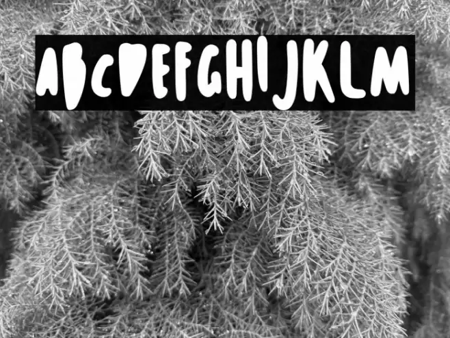 Le Gusto Font examples