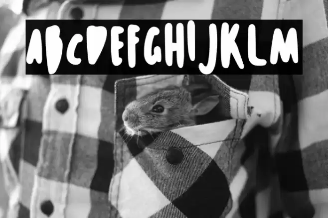 Le Gusto Font examples