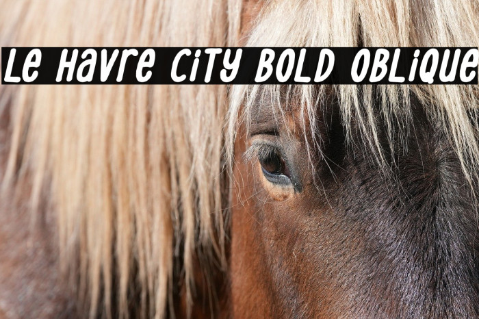 Le Havre City Bold Oblique Example 1