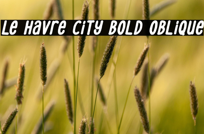 Le Havre City Bold Oblique Example 2