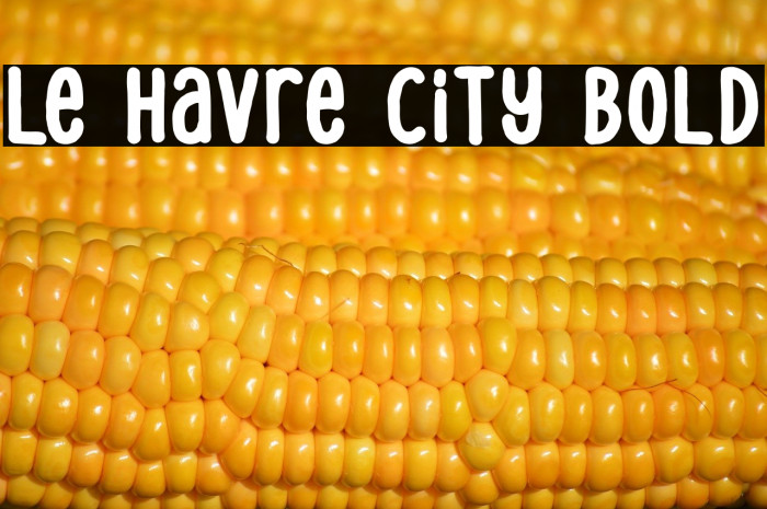Le Havre City Bold Example 1