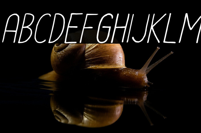 Le-Havre-City-Light-Oblique Example 1