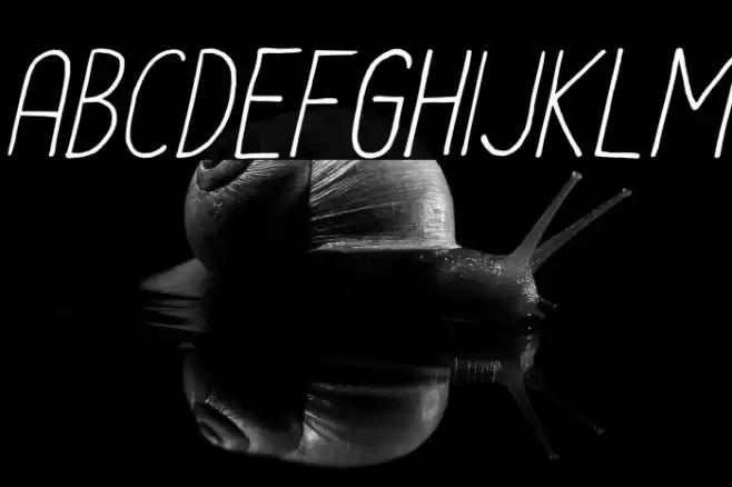 Le-Havre-City-Light-Oblique Font examples