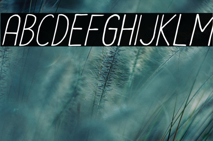 Le-Havre-City-Light-Oblique Example 3