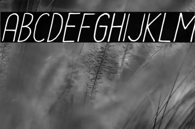 Le-Havre-City-Light-Oblique Font examples