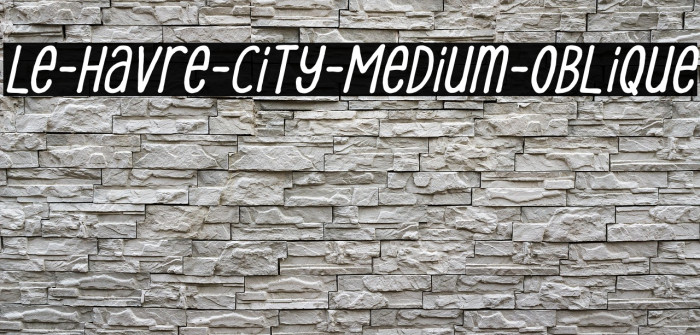 Le-Havre-City-Medium-Oblique Example 1