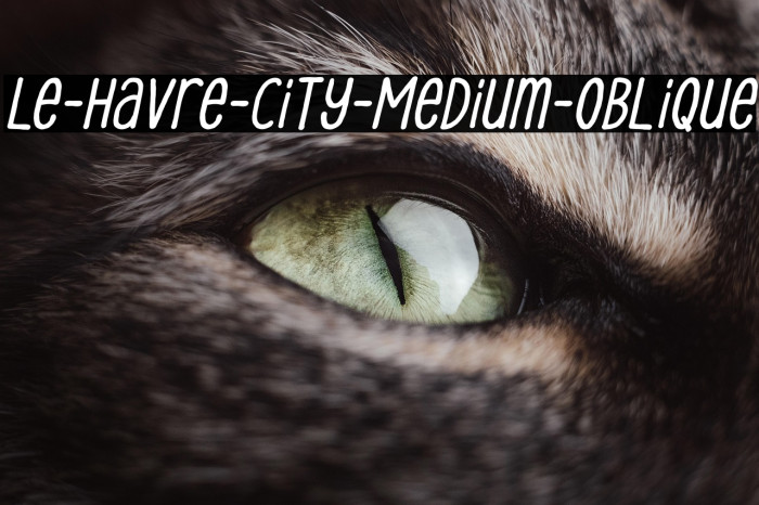 Le-Havre-City-Medium-Oblique Example 2