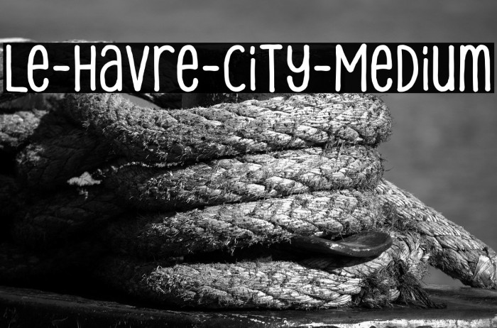 Le-Havre-City-Medium Example 1