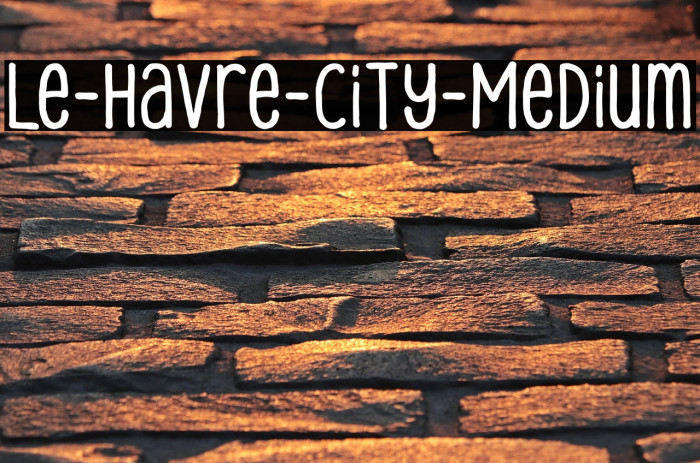 Le-Havre-City-Medium Example 3