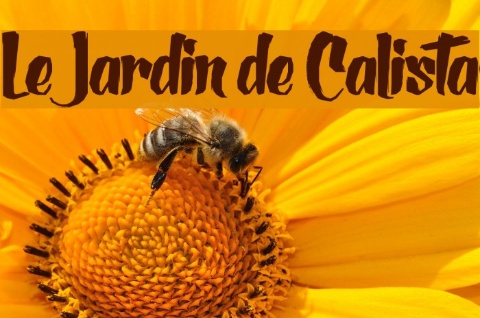 Le Jardin de Calista Font examples
