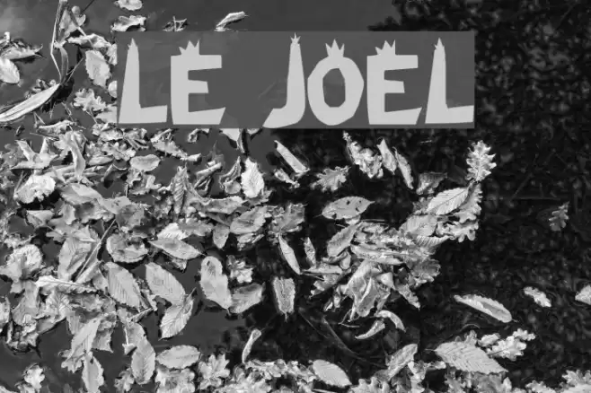 Le Joel Font examples