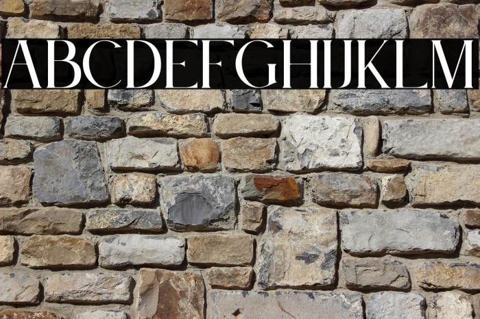 Le Jour Serif Example 1