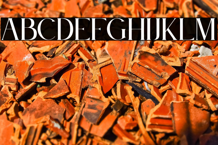 Le Jour Serif Example 2