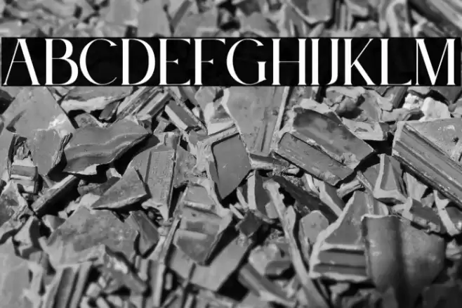 Le Jour Serif Font examples