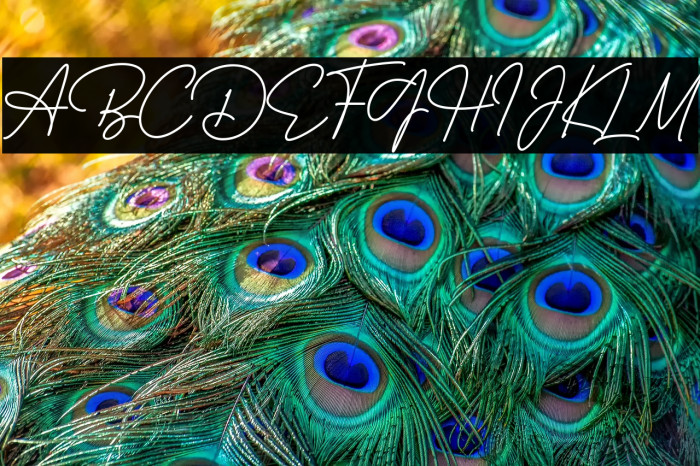 Le Marshall Example 3