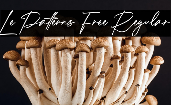 Le Patterns Free Regular Example 3