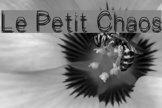 Le Petit Chaos Font examples