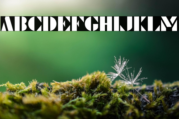 Le Pochoir Example 1