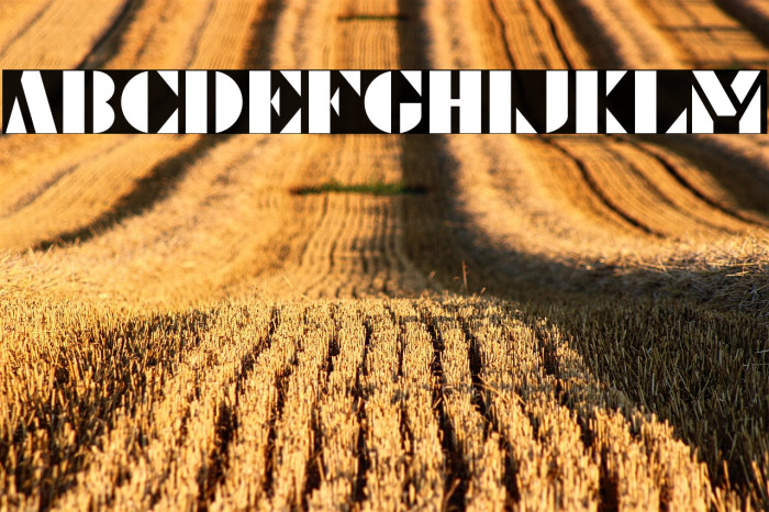 Le Pochoir Example 2