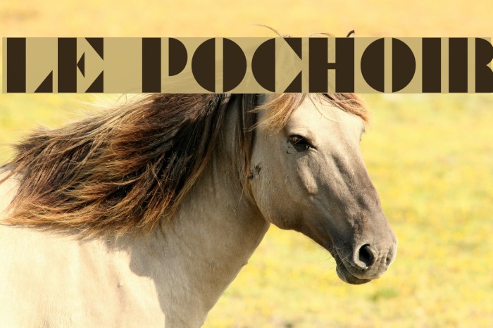 Le Pochoir Font examples