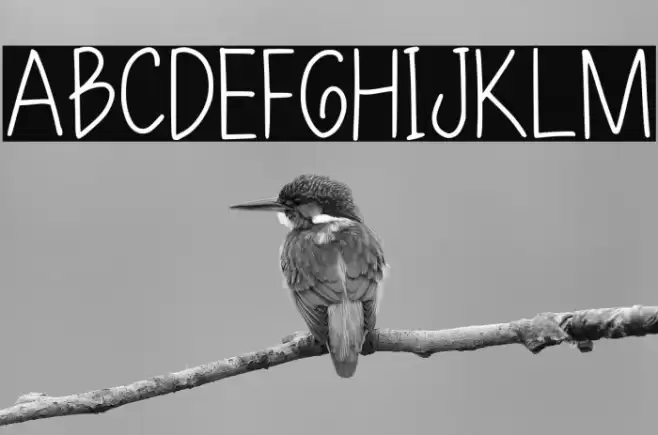 Le Ratna Font examples