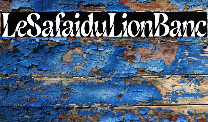 Le Safari du Lion Blanc Example 2