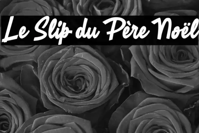 Le Slip du Père Noël Font examples